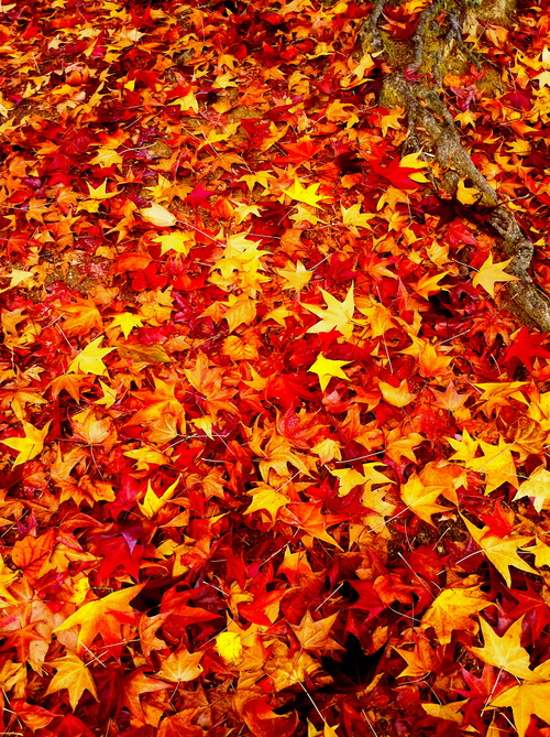c0228101_0292179.jpg