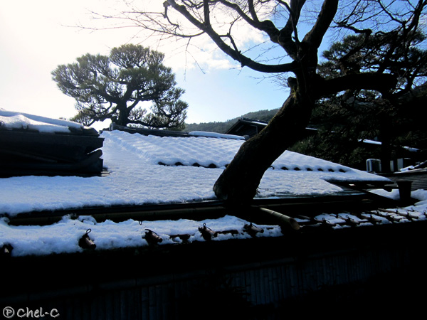 a0154706_20102833.jpg
