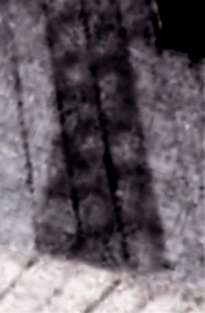 e0103408_1438103.jpg