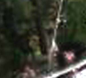e0103408_6573386.jpg