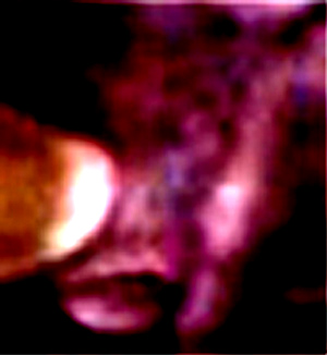 e0103408_6593655.jpg