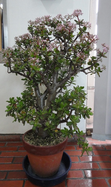 f0231709_16433329.jpg