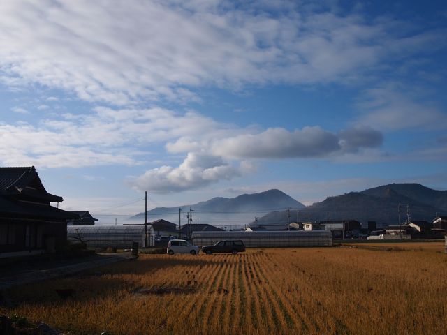 a0151615_1393944.jpg