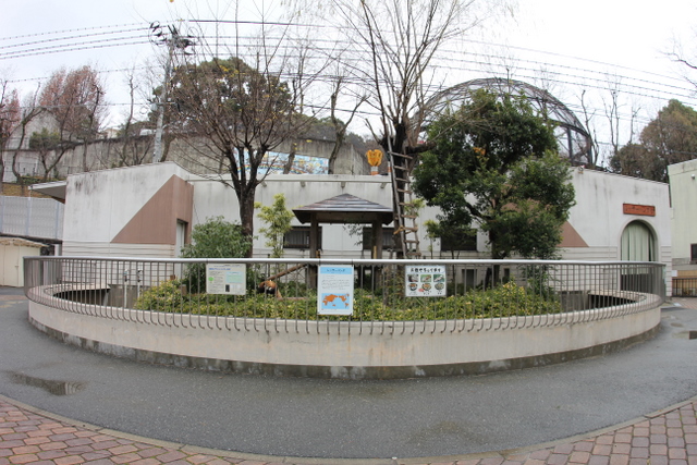 小熊猫ハウス : 2011冬休みレッサー遠征<b>福岡市動物園</b>編1