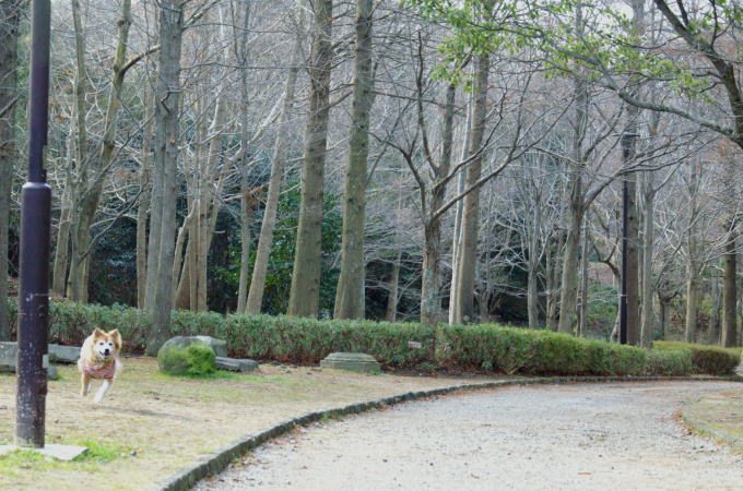 b0173224_16155178.jpg
