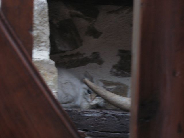 c0188527_1402979.jpg