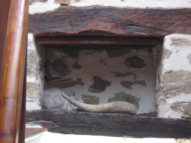 c0188527_2453127.jpg
