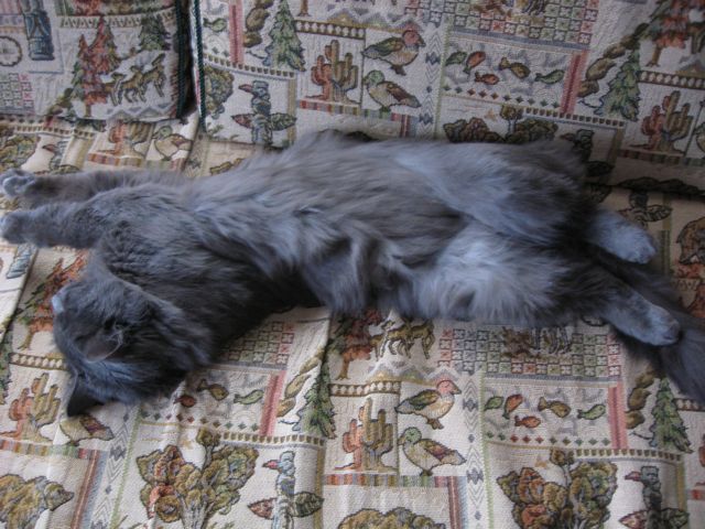 c0188527_317861.jpg