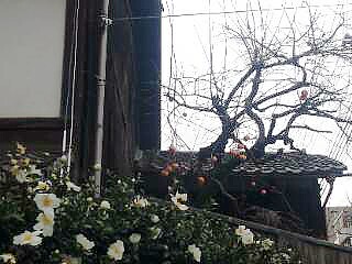 c0212929_9275545.jpg