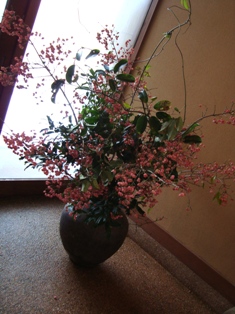 b0204930_22123684.jpg