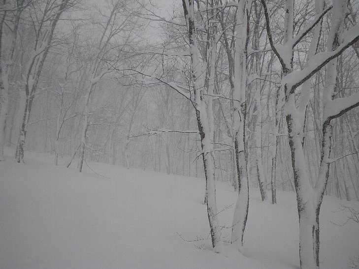f0118332_21425675.jpg