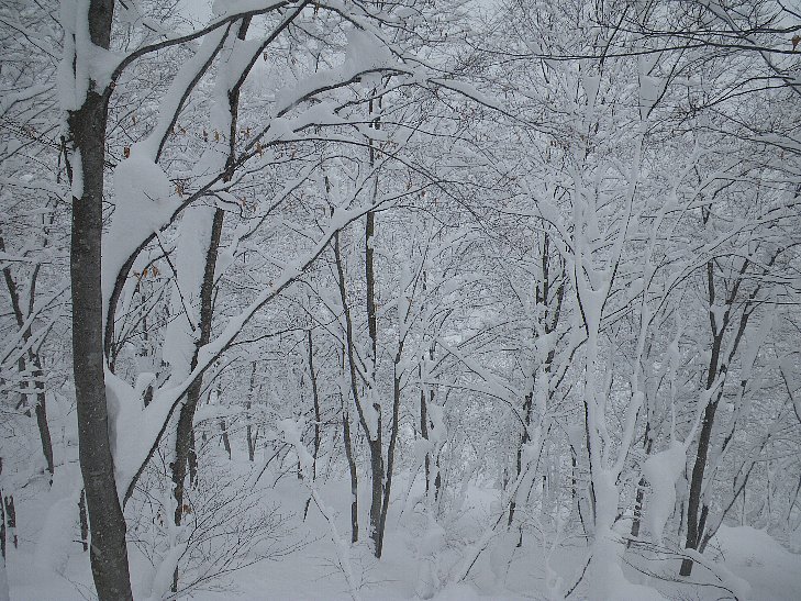 f0118332_2151989.jpg