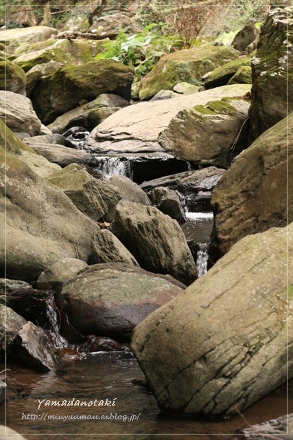 d0173942_0154291.jpg
