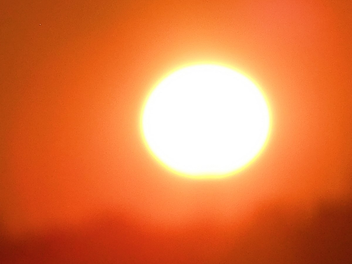 e0206242_1025348.jpg