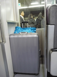 f0203249_2040379.gif