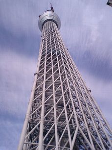 a0065062_15372211.jpg