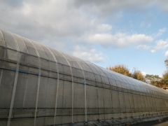f0055264_2165813.jpg