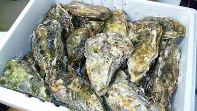 c0023170_1410557.jpg
