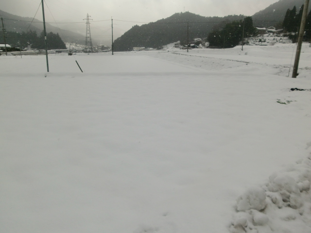 a0123277_053167.jpg