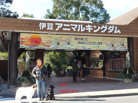 e0207477_0273635.jpg