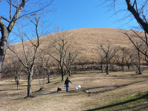 e0207477_0565738.jpg