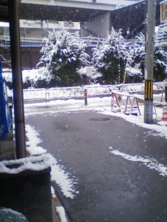 f0171978_8584481.jpg