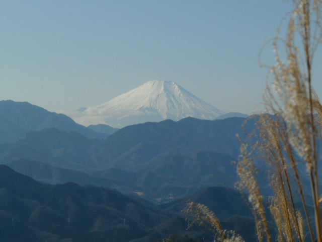 e0145782_1863072.jpg
