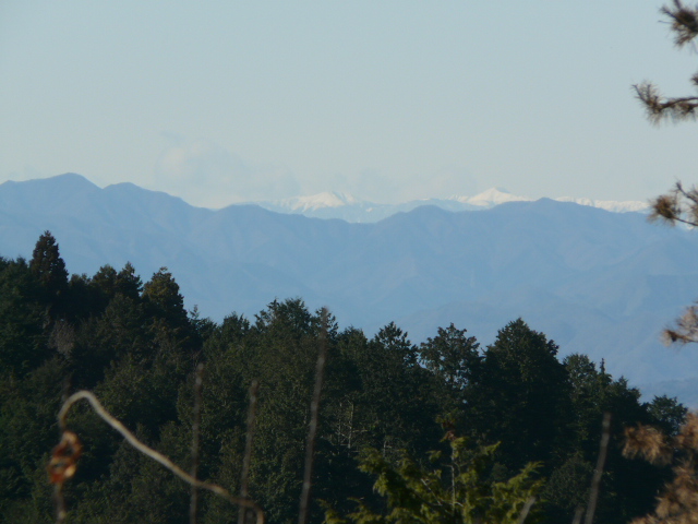 e0145782_1871795.jpg