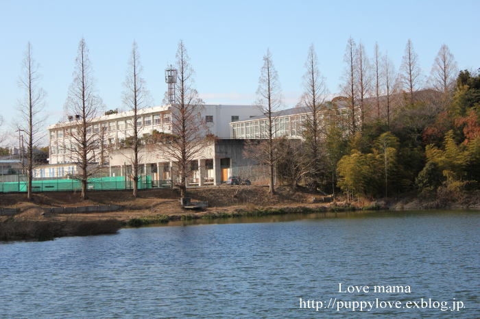 b0136683_1172525.jpg