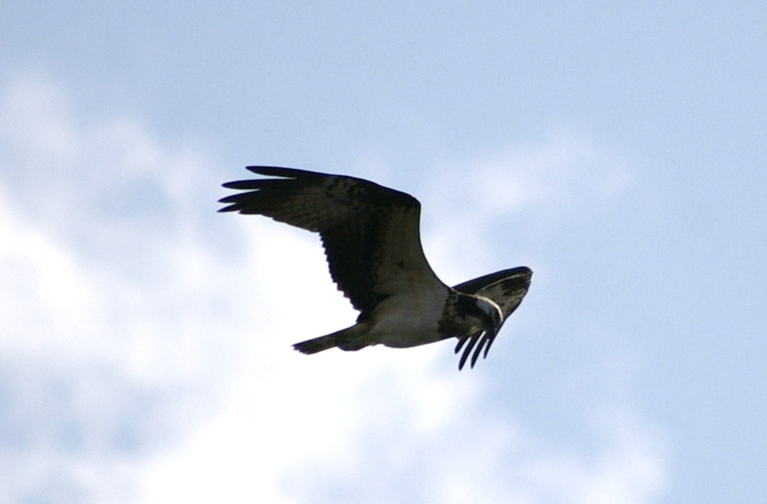 e0197884_2241192.jpg