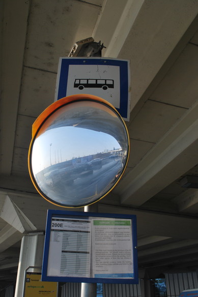 e0172592_1101868.jpg