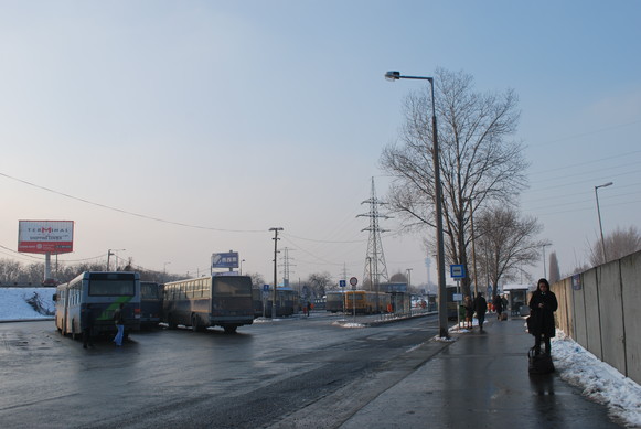 e0172592_1182491.jpg