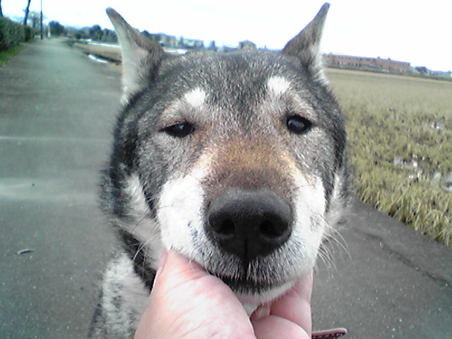 f0079202_1441355.jpg