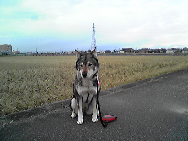 f0079202_1441381.jpg