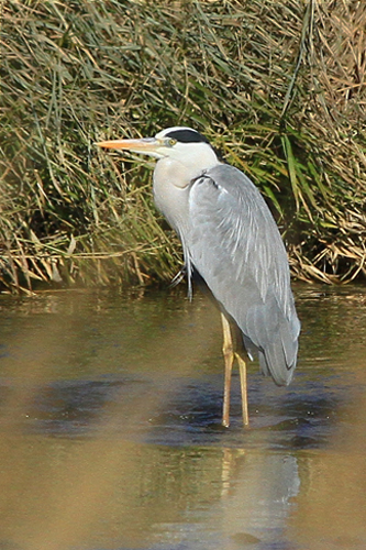 b0014607_15361136.jpg