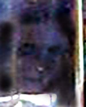 e0103408_1757356.jpg