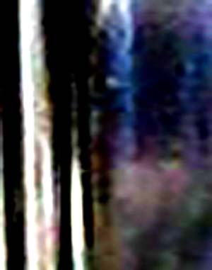 e0103408_18132470.jpg