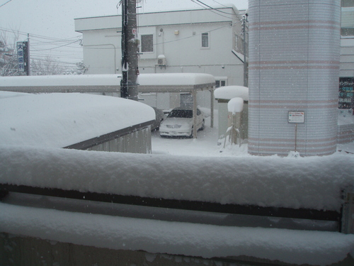 b0198109_928835.jpg