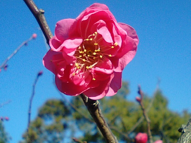 f0231709_11313579.jpg