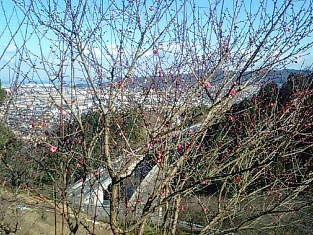 f0231709_113252.jpg