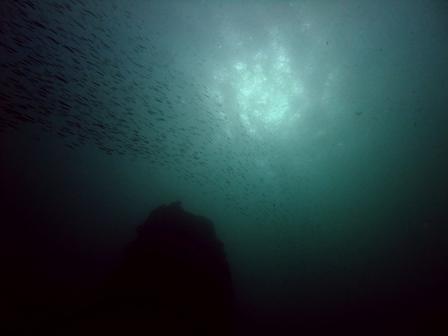 d0175710_15542162.jpg
