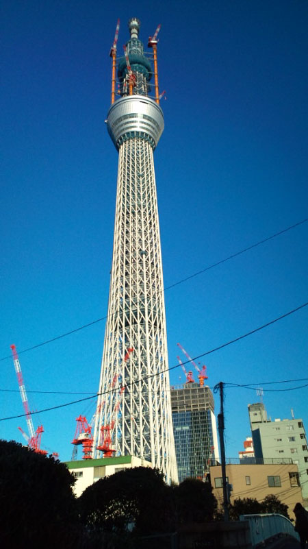 e0082110_1555456.jpg