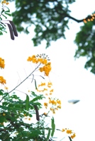 c0125311_1141086.jpg