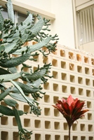 c0125311_121658.jpg