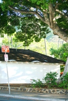c0125311_195213.jpg