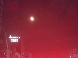 f0199511_2158696.jpg