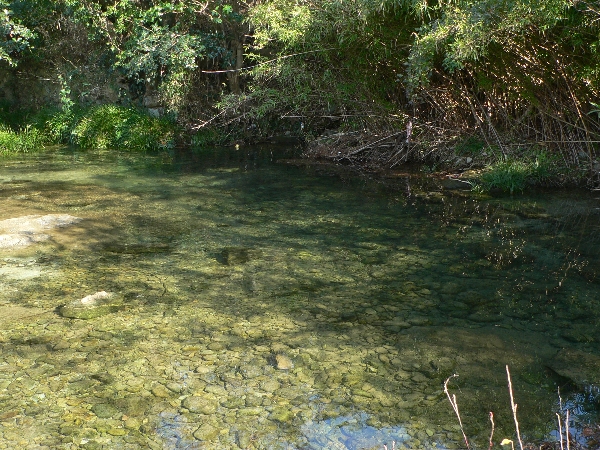 e0002314_17353080.jpg