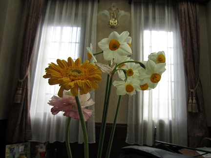 b0167519_9585144.jpg