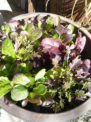 c0086221_18503896.jpg