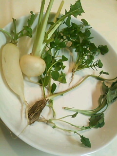 a0056722_22461559.jpg